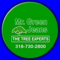 Mr Green Jeans Tree Service image 1